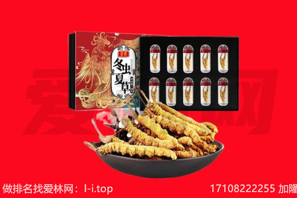 九江瑞昌市回收虫草.jpg
